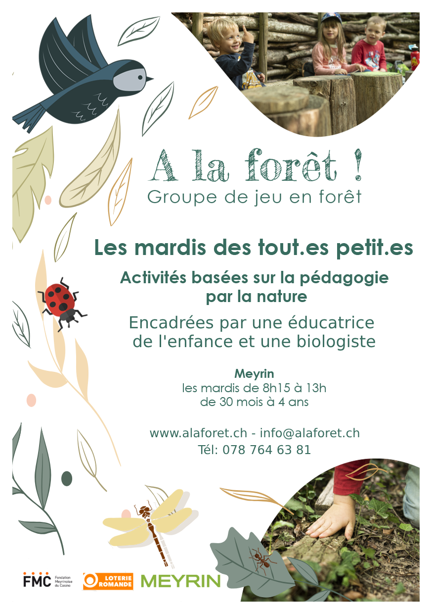 flyers_logo_meyrin